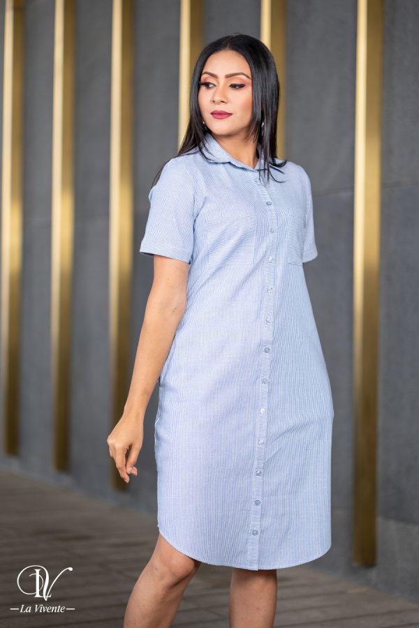 Stripe Shirt Dress