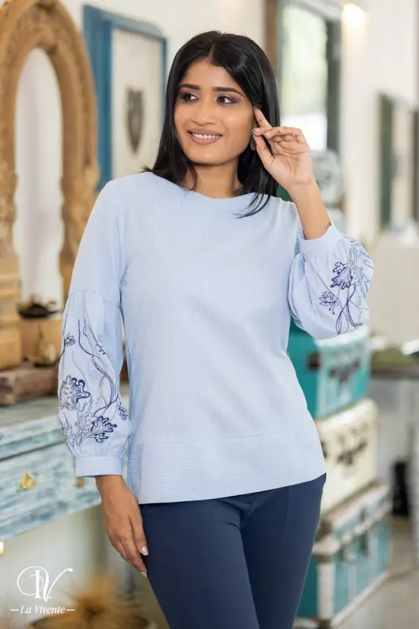 Striped Sleeve Embroidered Blouse Top
