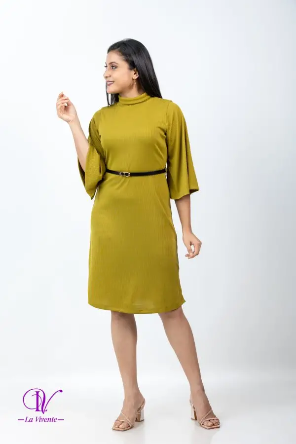 Turtle Necked Belted Rib Dress With Belt - Image 4