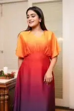 Empirelined Ombre Evening Wear Maxi Dress - Image 2