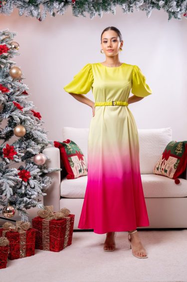 Puff Sleeved Ombre Partywear Dress