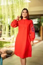 Sleeve Embroidered Chinese Collared Short Dress