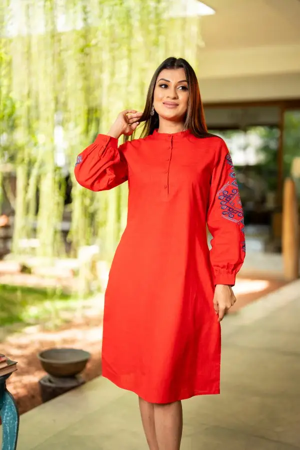 Sleeve Embroidered Chinese Collared Short Dress