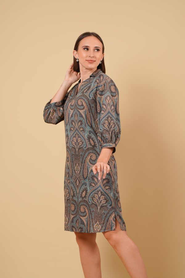 Paisley Patterned Collared Short Dress - Image 4