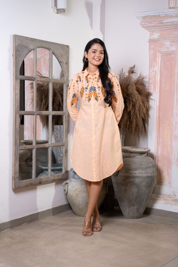 Feather Embroidery Detailed Curve Hem Short Shirt Dress - Image 4