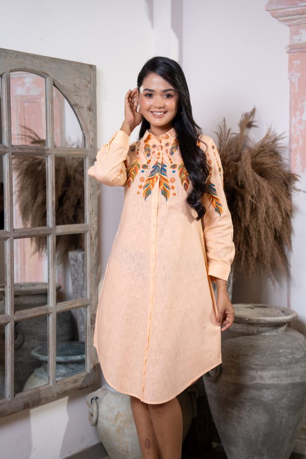 Feather Embroidery Detailed Curve Hem Short Shirt Dress