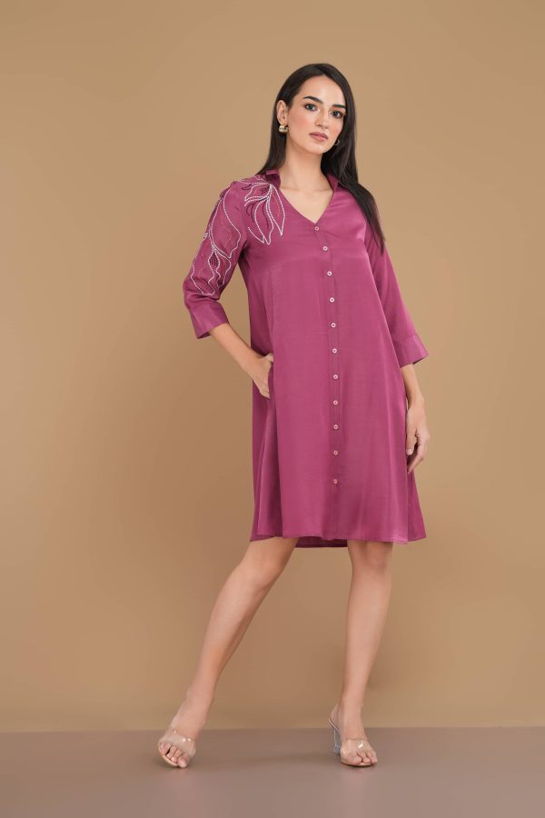 Embroidered Button-Down Collared Short Dress - Image 3