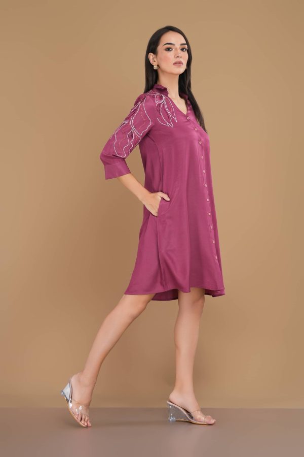 Embroidered Button-Down Collared Short Dress - Image 4