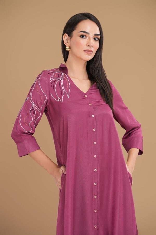 Embroidered Button-Down Collared Short Dress