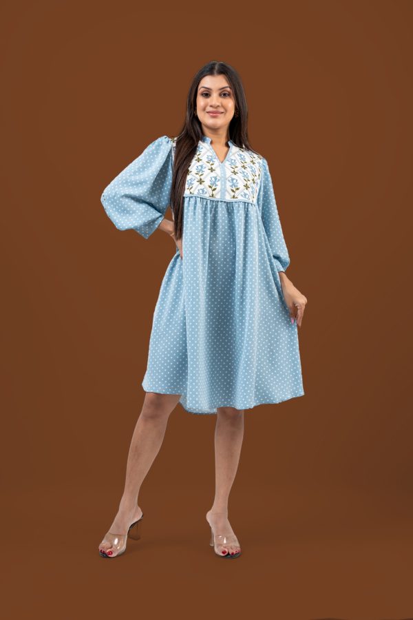 Floral Embroidery Detail Polka Dot Short Dress - Image 2