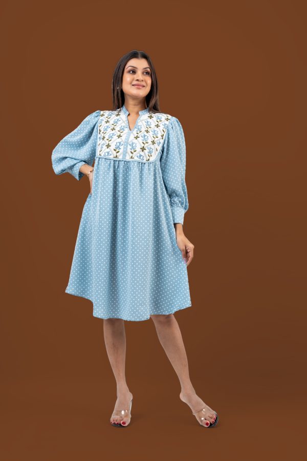 Floral Embroidery Detail Polka Dot Short Dress - Image 3