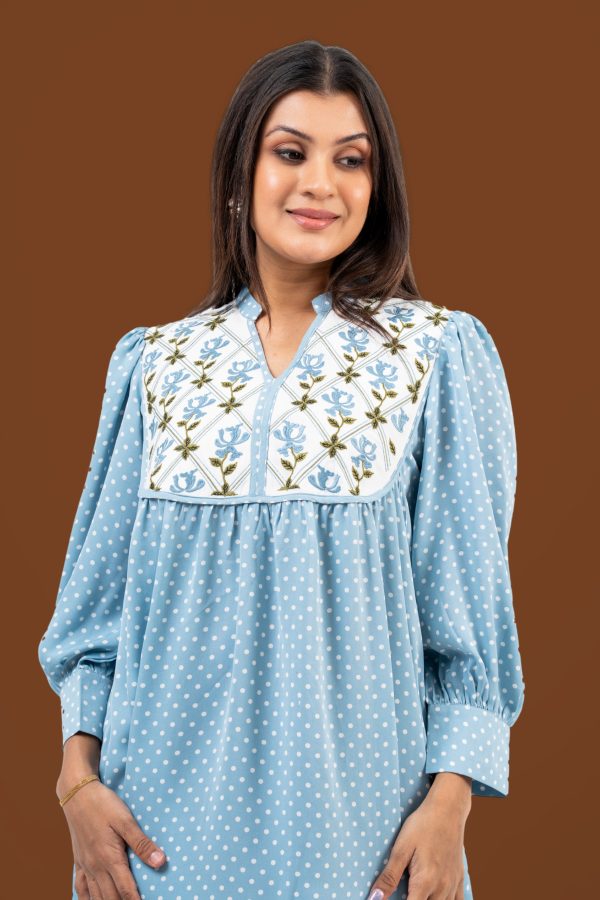 Floral Embroidery Detail Polka Dot Short Dress