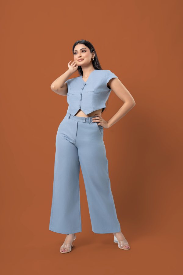Cap Sleeve Crop Top and Pants Set - Image 6