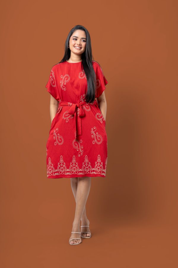 Embroidered Maggie Sleeve Short Dress - Image 4