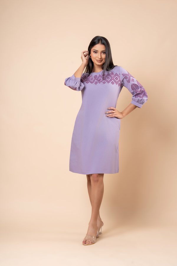 Embroidery A-Line Short Dress - Image 5