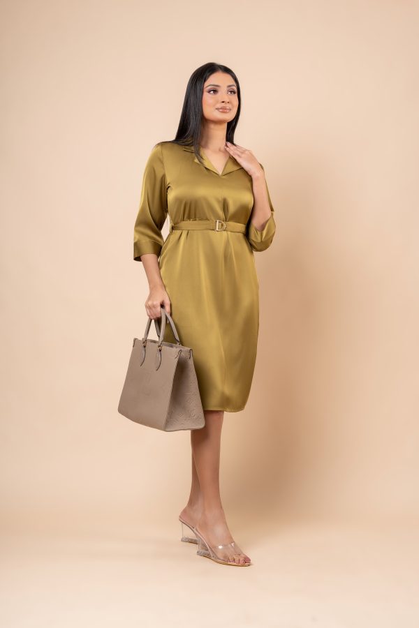 Lapel Collared Belt Detail Short Dress - Image 4