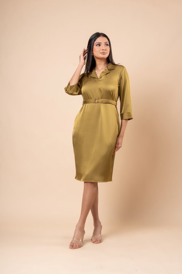 Lapel Collared Belt Detail Short Dress - Image 5