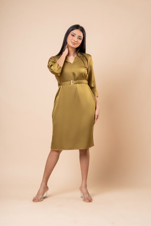 Lapel Collared Belt Detail Short Dress - Image 6