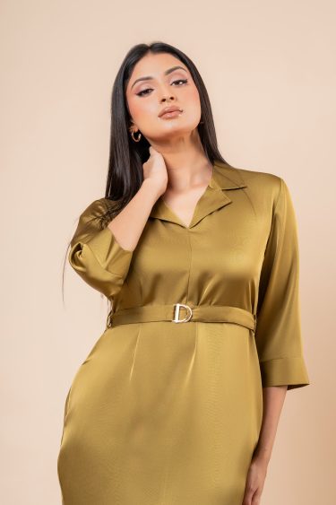 Lapel Collared Belt Detail Short Dress