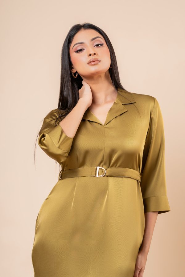 Lapel Collared Belt Detail Short Dress